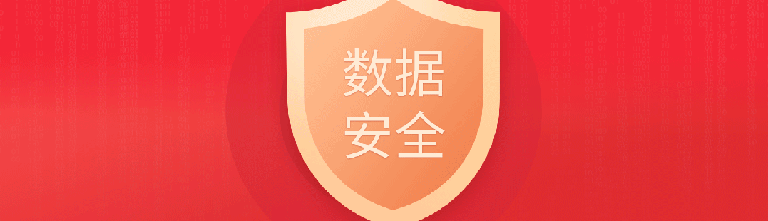 國家引導(dǎo)與技術(shù)驅(qū)動下我國數(shù)字政府發(fā)展及大數(shù)據(jù)安全新挑戰(zhàn)