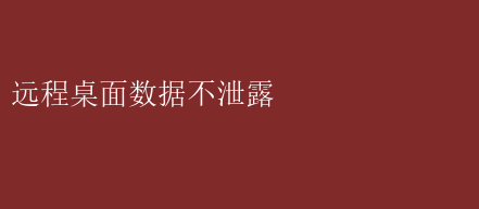 遠(yuǎn)程桌面數(shù)據(jù)不泄露：構(gòu)建安全高效遠(yuǎn)程工作防線的關(guān)鍵探討